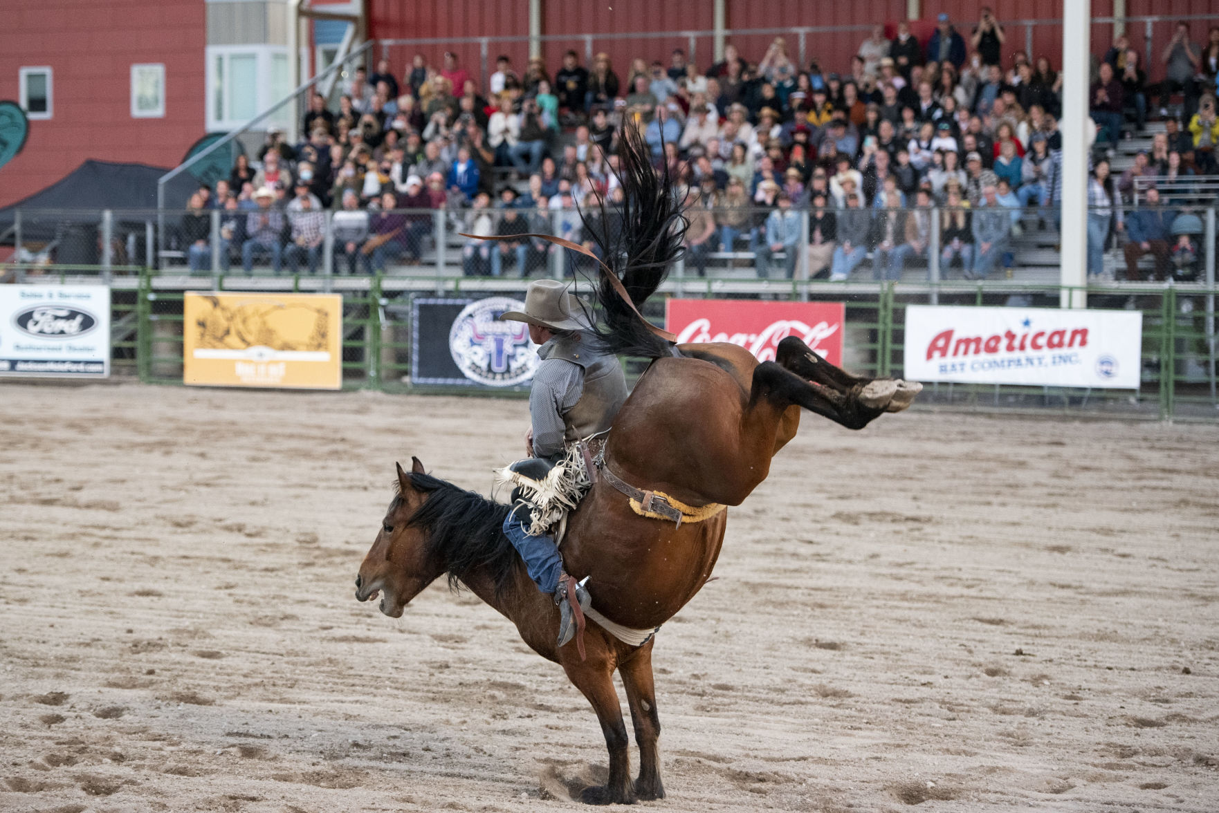 Jackson Hole Rodeo